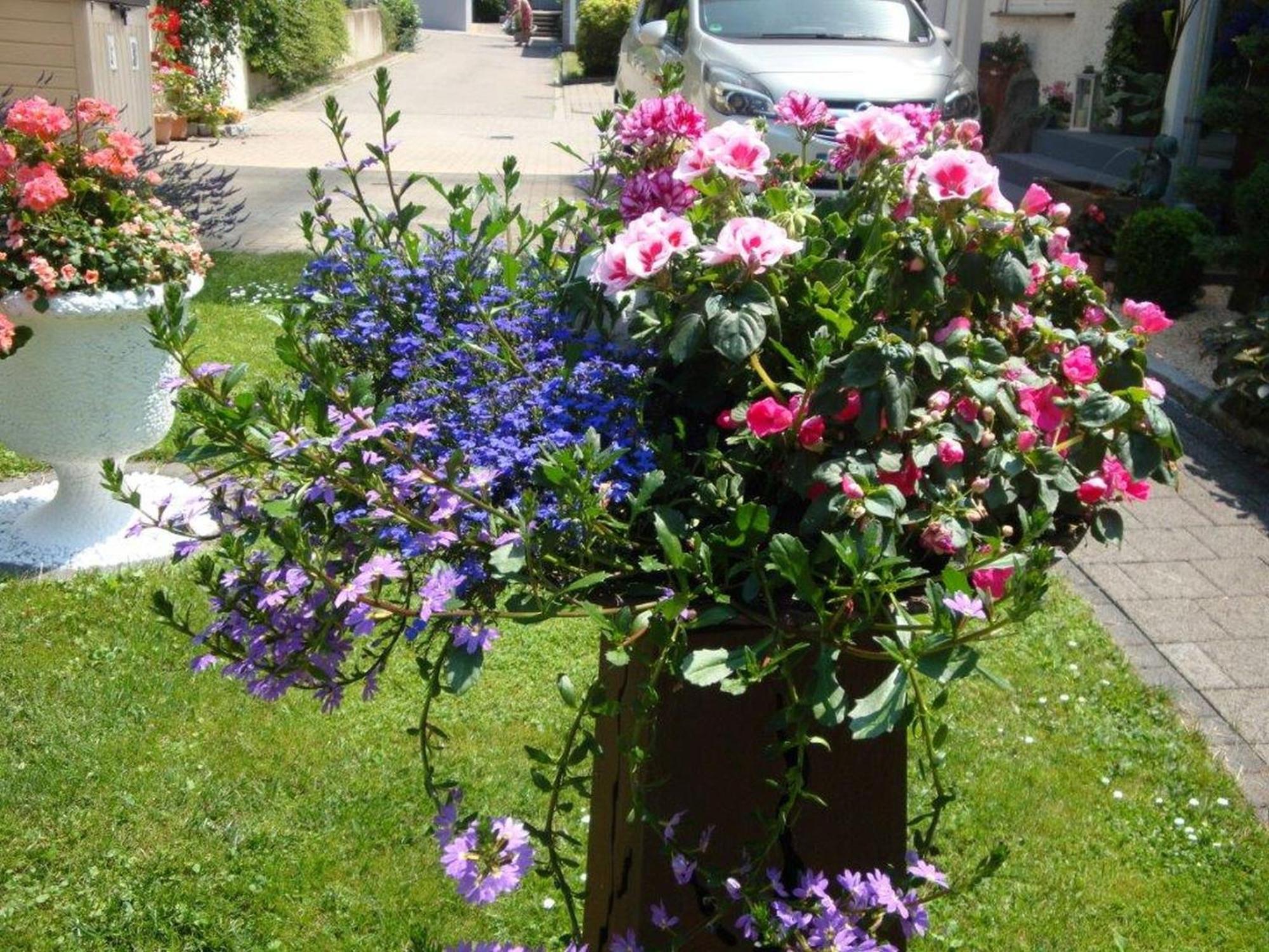 Appartement Stumpf
