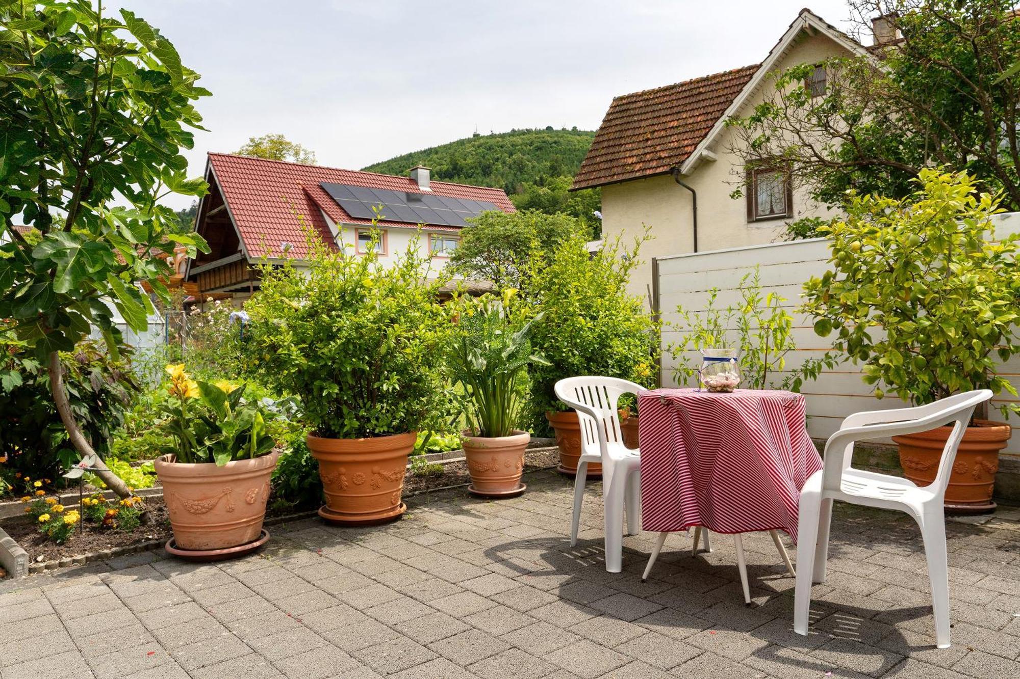 Stumpf Friesenheim (Baden-Wurttemberg)